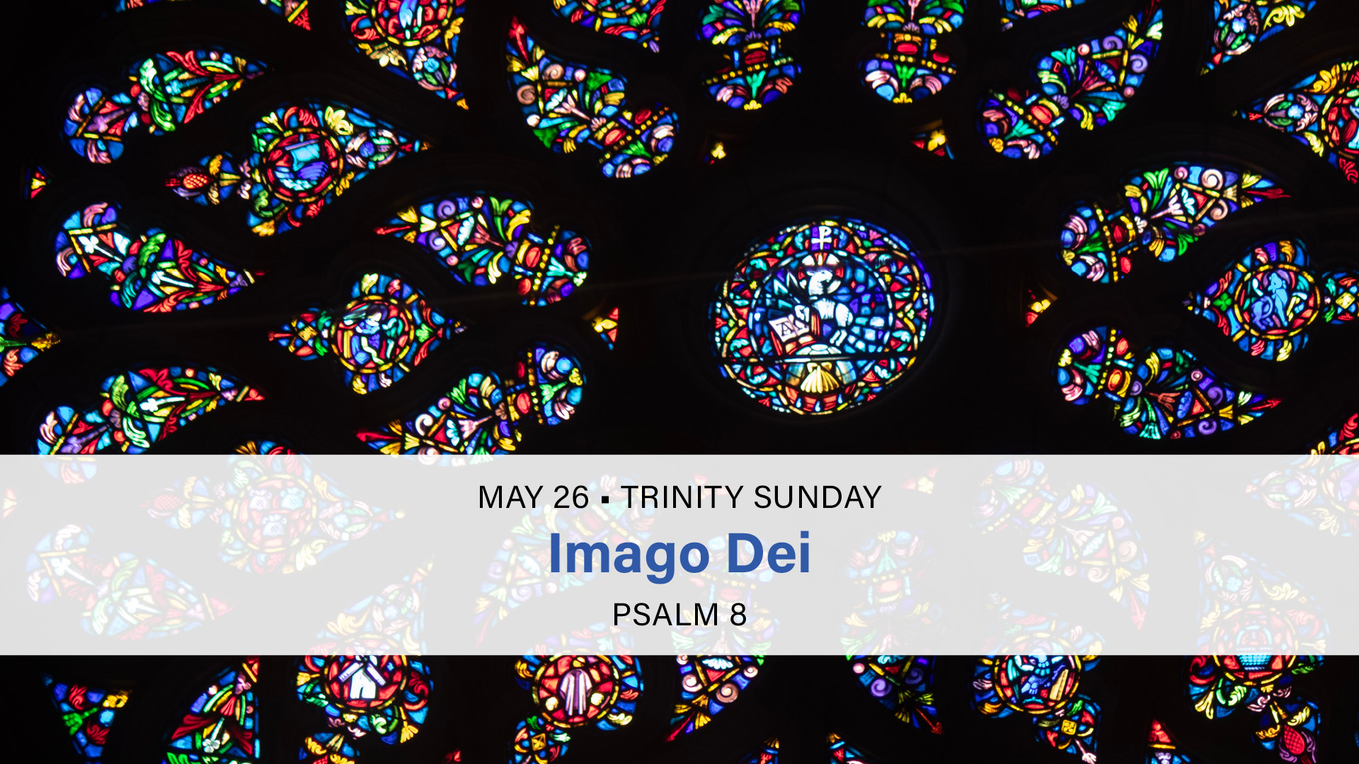 May 26 - Imago Dei